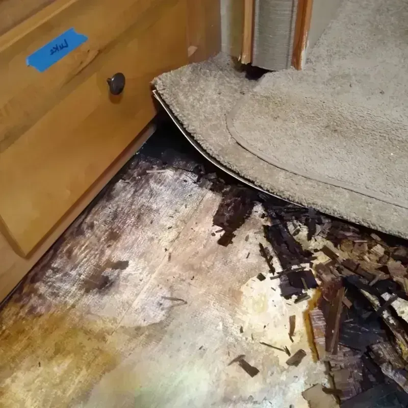 Best Wood Floor Water Damage Service in Hamilton County, KS